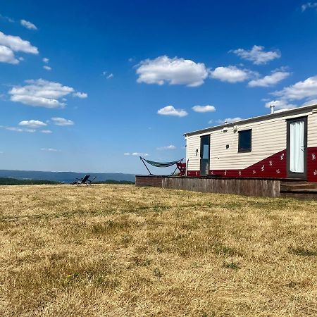 Mountaintop Panoramaview Casa In Bihor Apuseni バドゥ・クリシュルイ エクステリア 写真