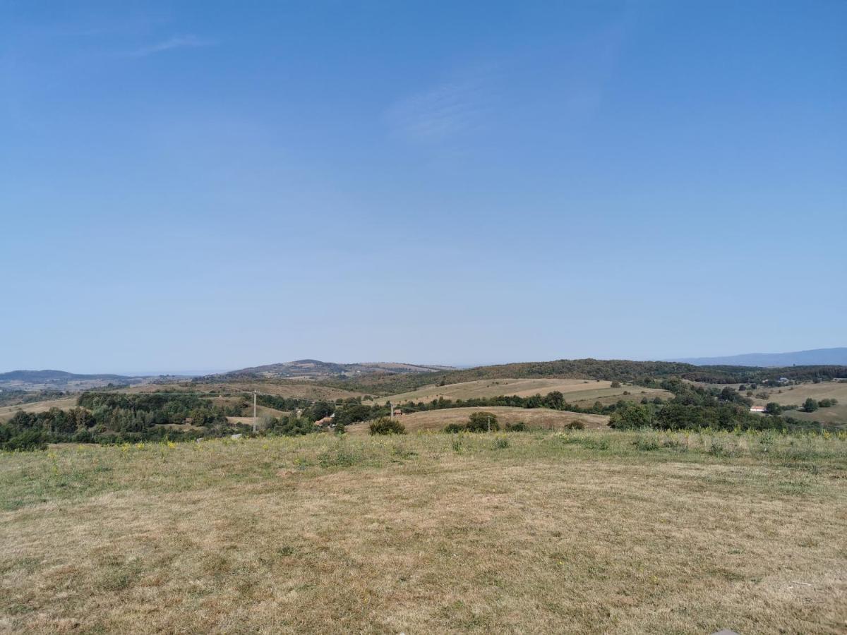 Mountaintop Panoramaview Casa In Bihor Apuseni バドゥ・クリシュルイ エクステリア 写真