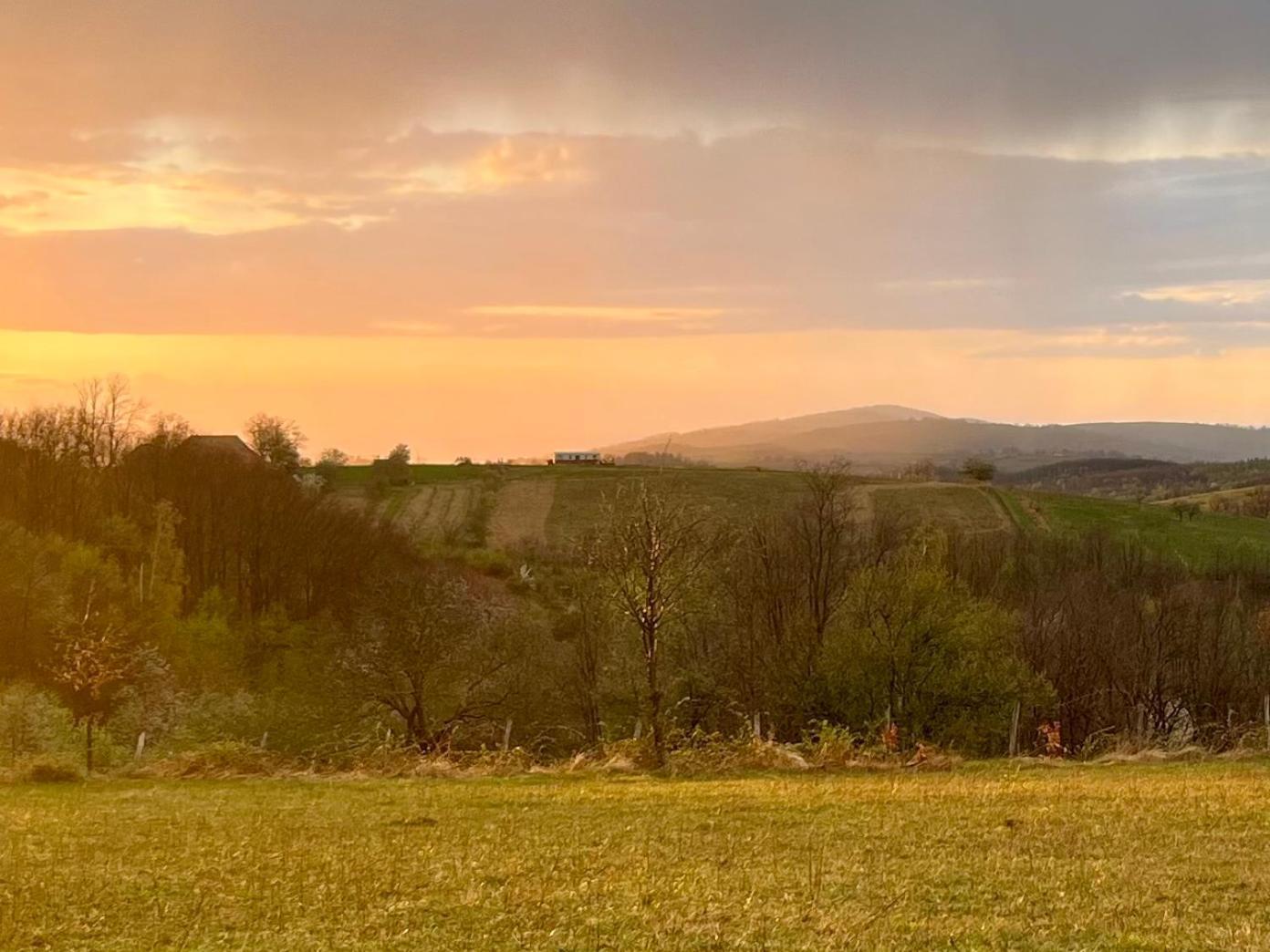 Mountaintop Panoramaview Casa In Bihor Apuseni バドゥ・クリシュルイ エクステリア 写真