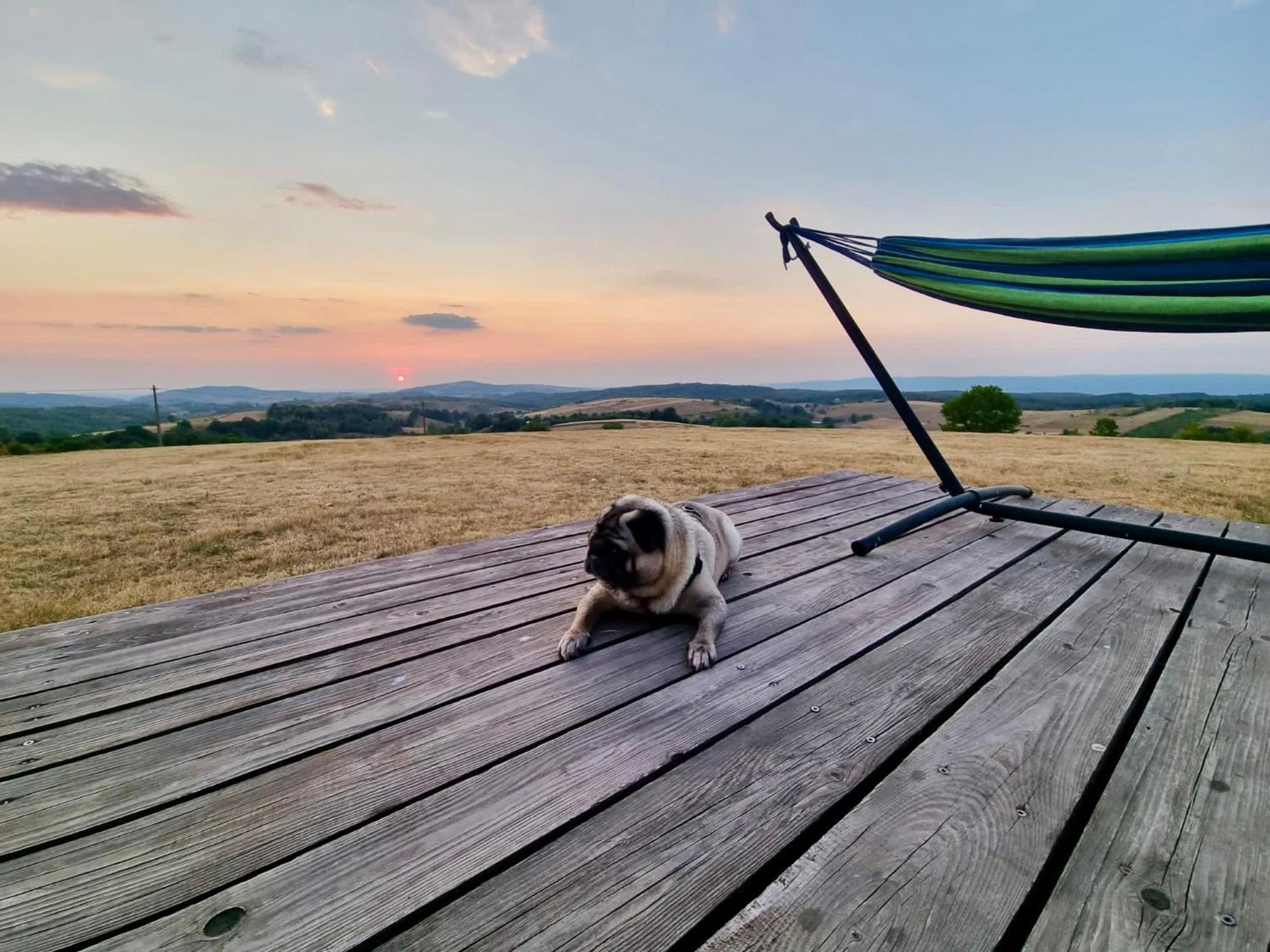 Mountaintop Panoramaview Casa In Bihor Apuseni バドゥ・クリシュルイ エクステリア 写真